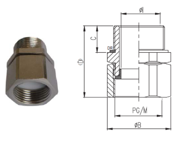 Isku-xidhaha Spine Brass-plated