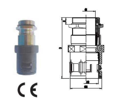 Connector with sealing with strain relief