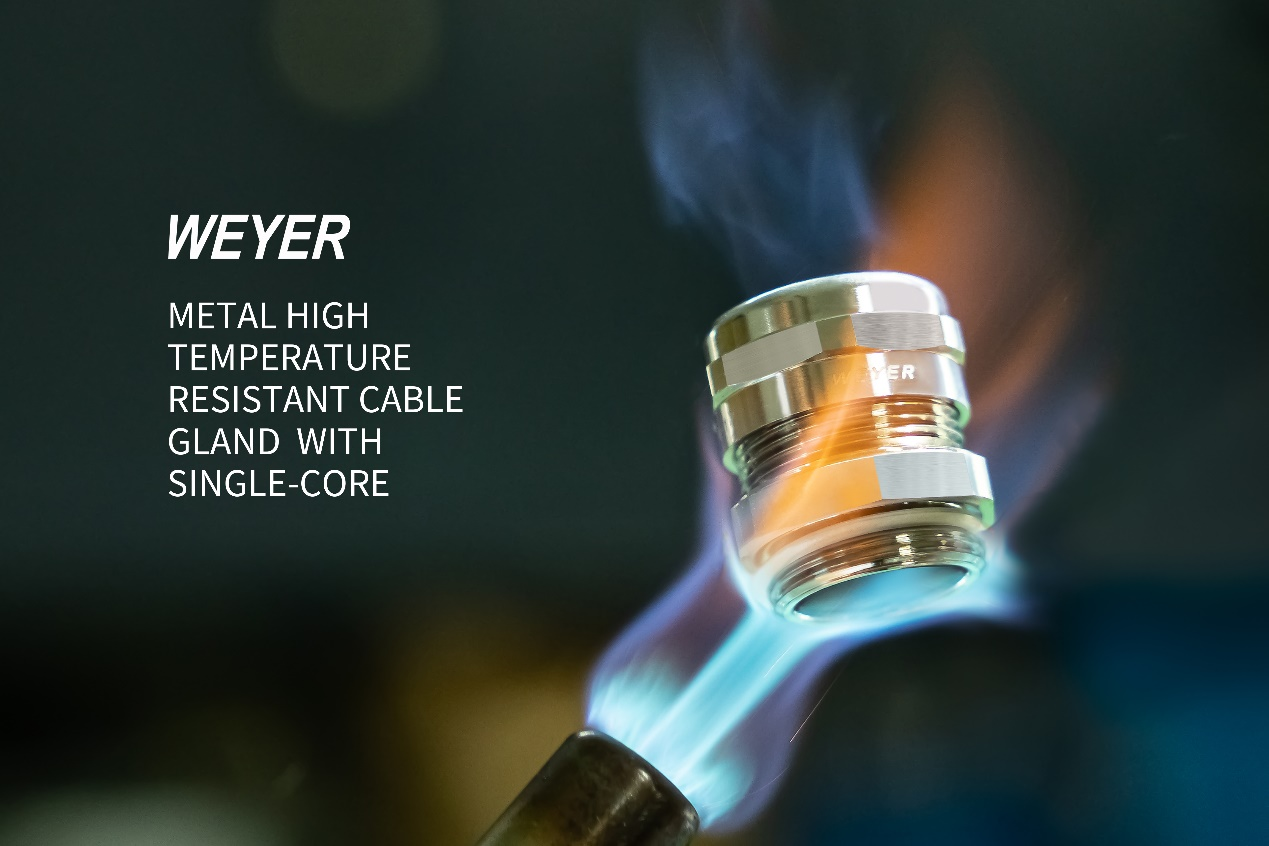 Cable Gland-1