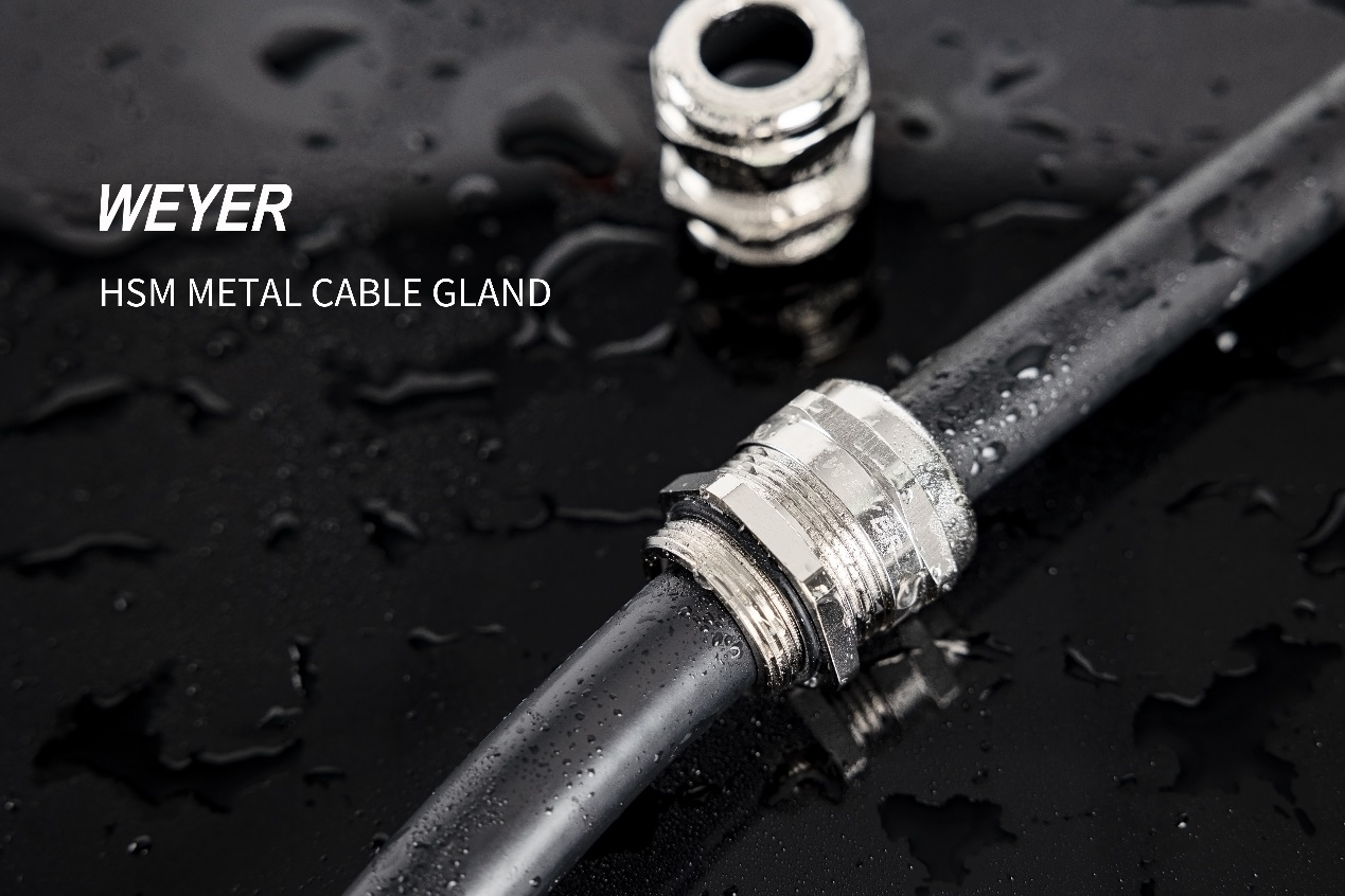 Cable Gland-2